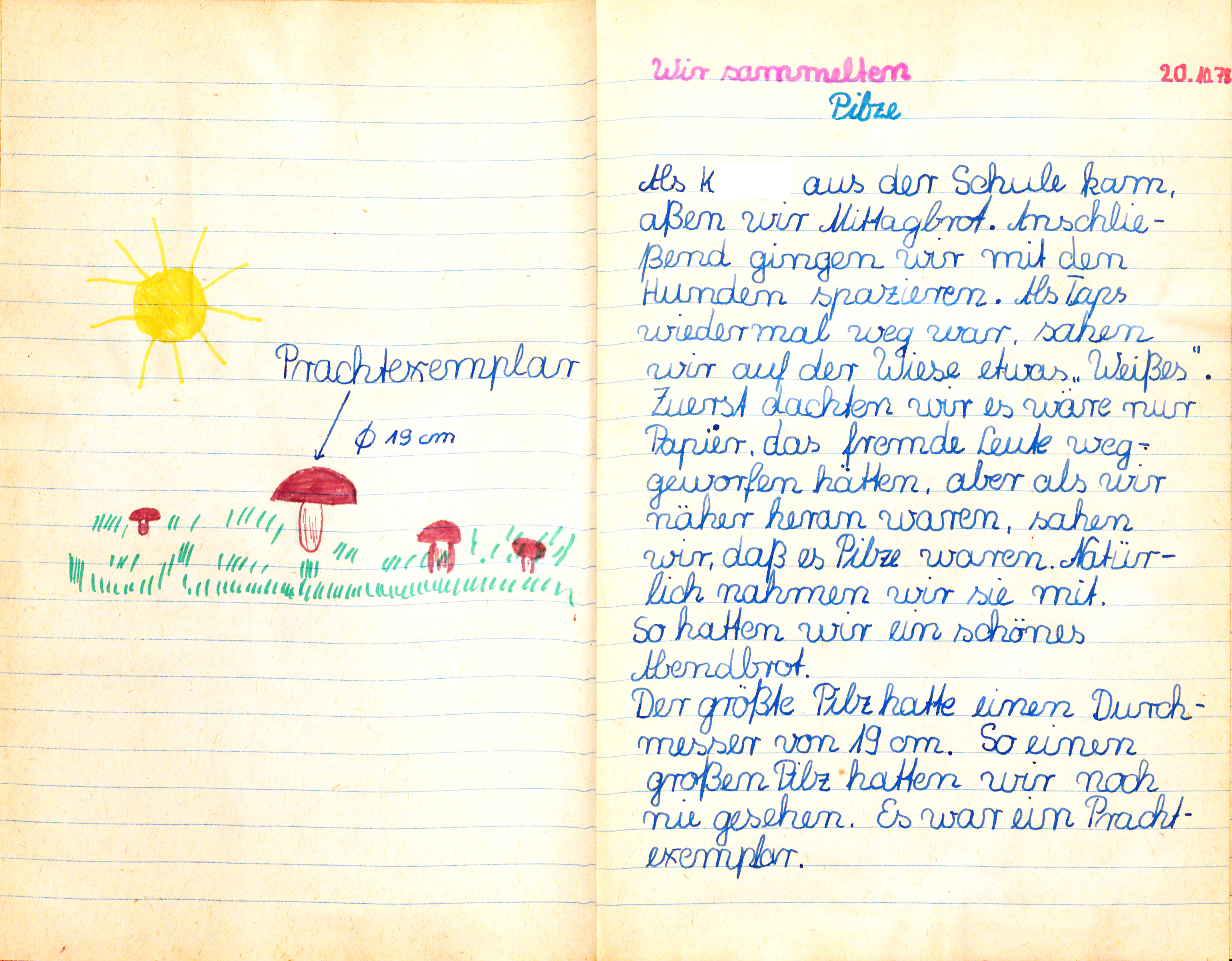 50_Tagebuch1978-1981_einer_Berliner_Schülerin_10.jpg