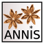annis_icon.png