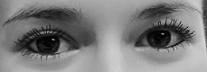 Augen Isabelle